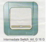 INTERMEDIATE SWITCH
